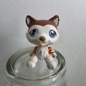 ✨️Littlest Pet Shop Lps # 427  Laying Down Husky Advent Calendar